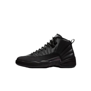 Air Jordan 12- Black Anthracite