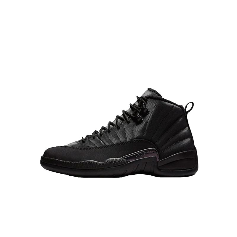 Air Jordan 12- Black Anthracite