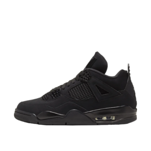 Air Jordan 4- Black Cat